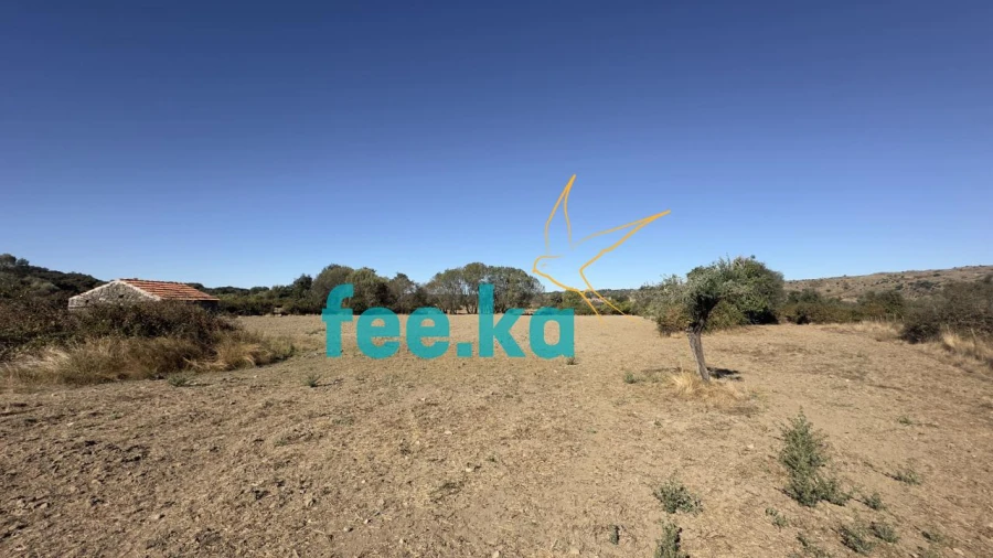 Terreno para Venda em Oledo Foto 24