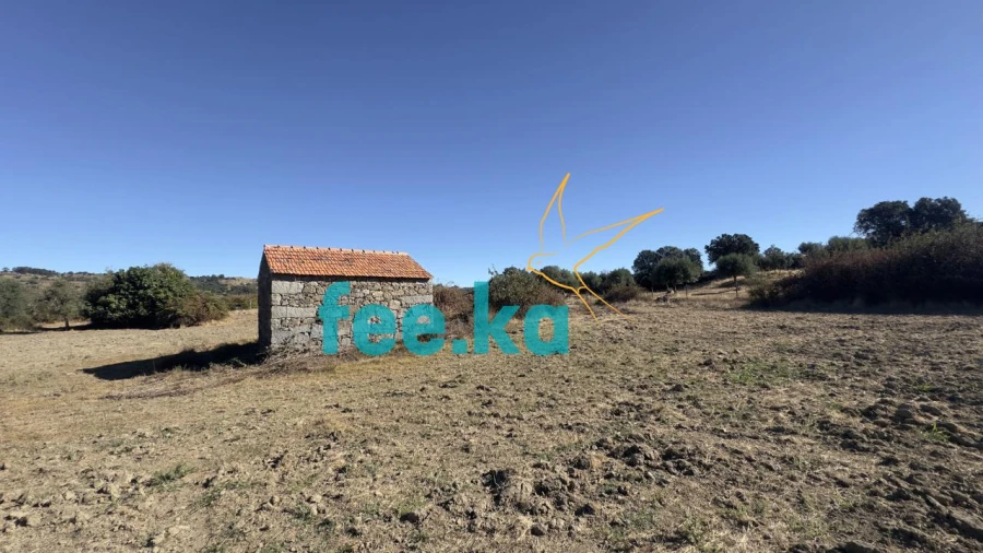 Terreno para Venda em Oledo Foto 2