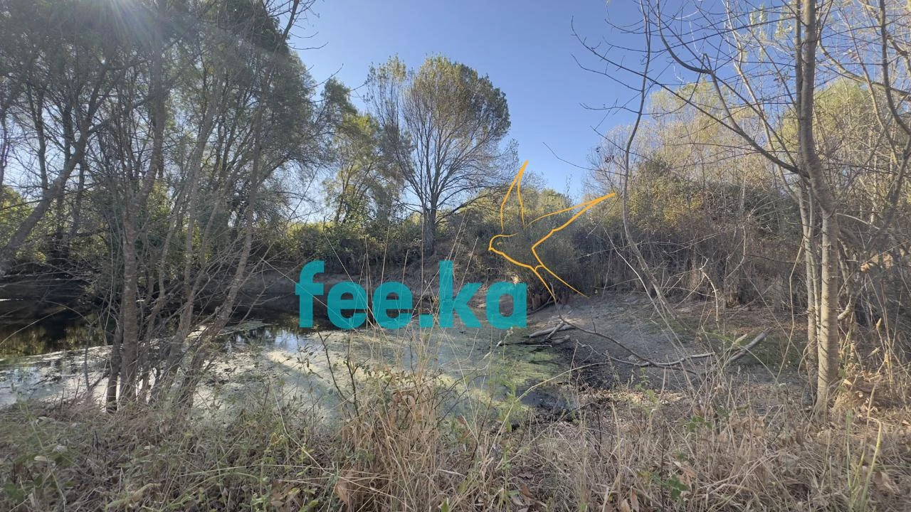 Terreno para Venda em Oledo Foto 3