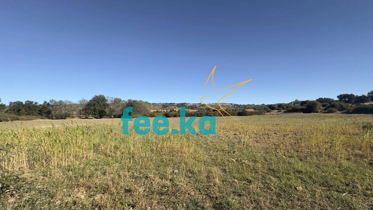 Terreno para Venda em Oledo Foto 5