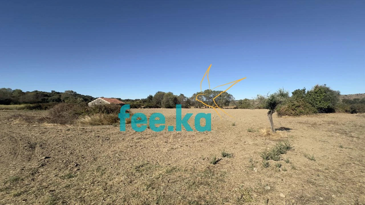 Terreno para Venda em Oledo Foto 8