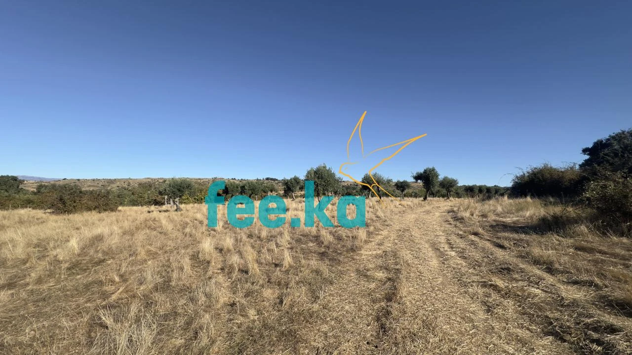 Terreno para Venda em Oledo Foto 9