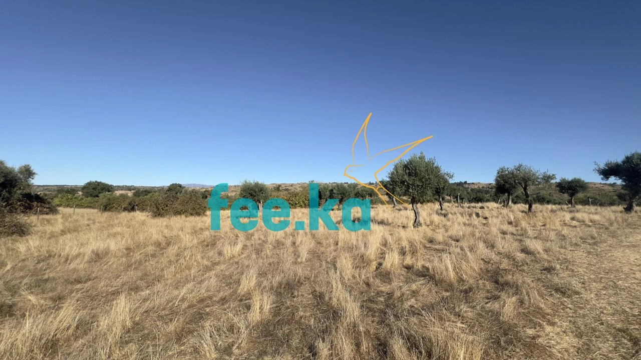 Terreno para Venda em Oledo Foto 10