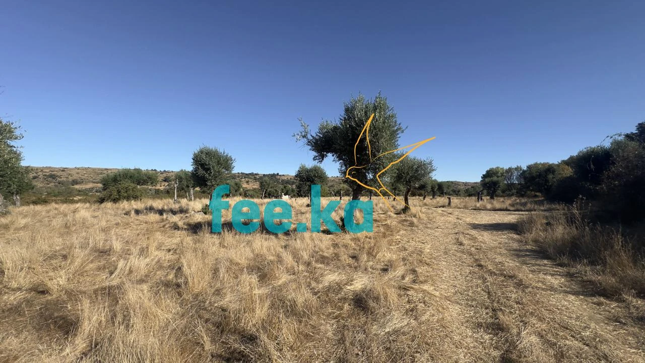 Terreno para Venda em Oledo Foto 11