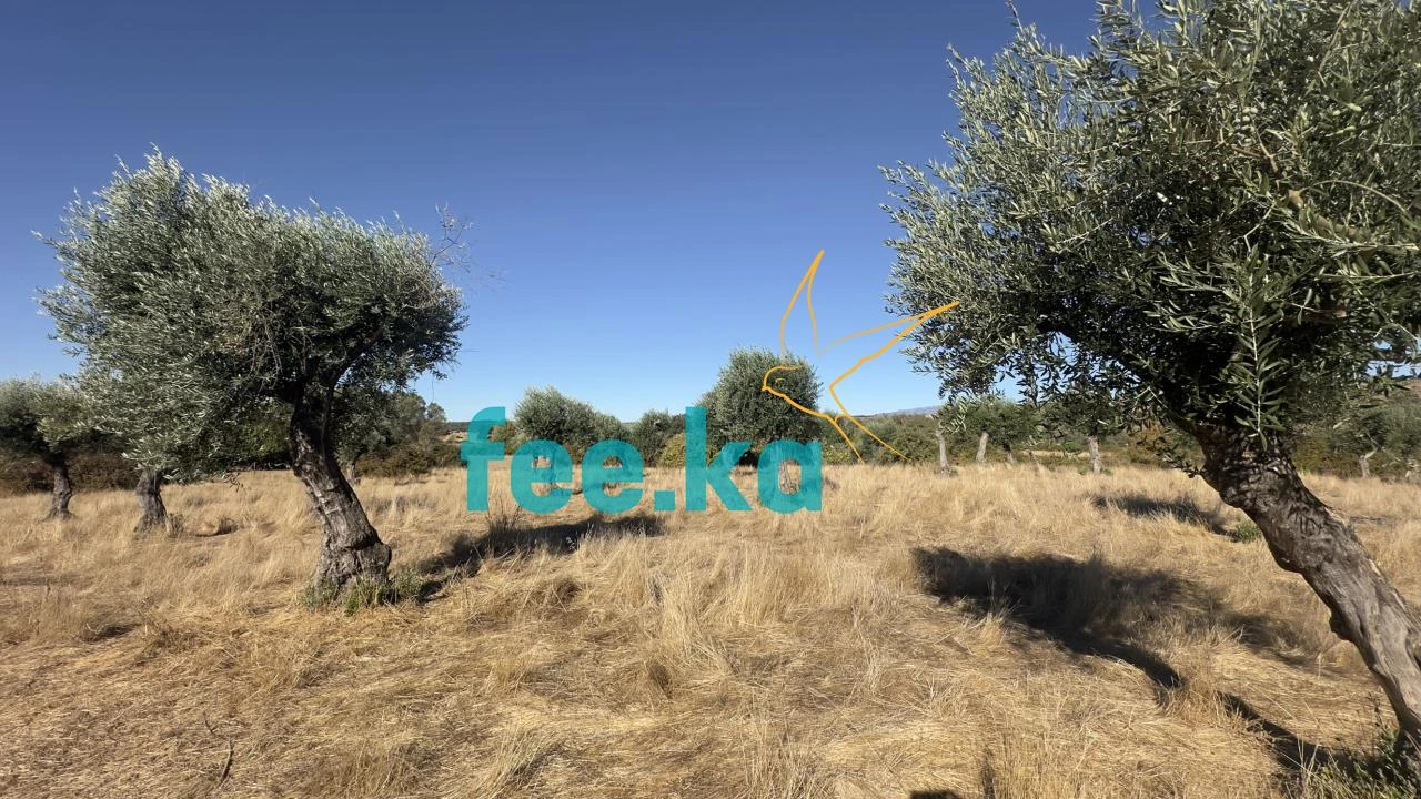 Terreno para Venda em Oledo Foto 14