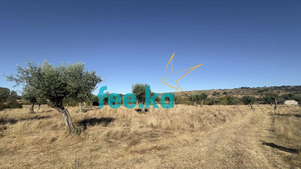 Terreno para Venda em Oledo Foto 16