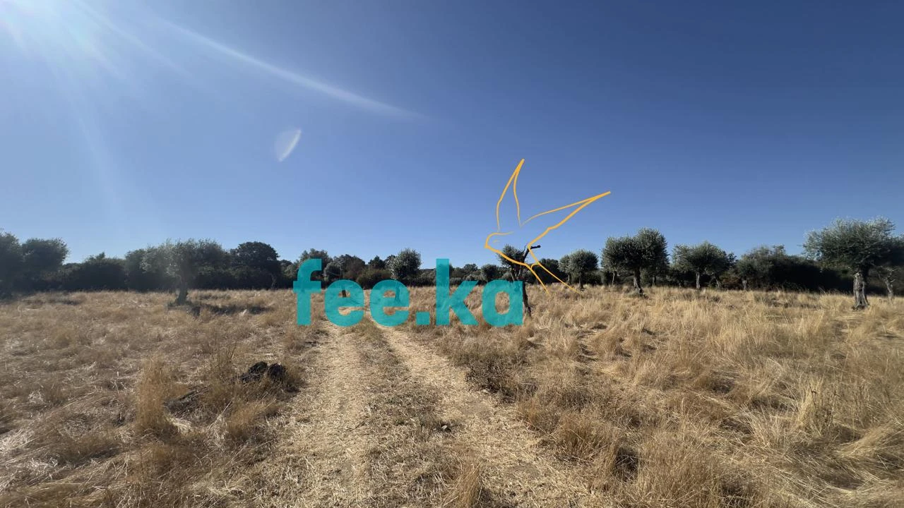 Terreno para Venda em Oledo Foto 21