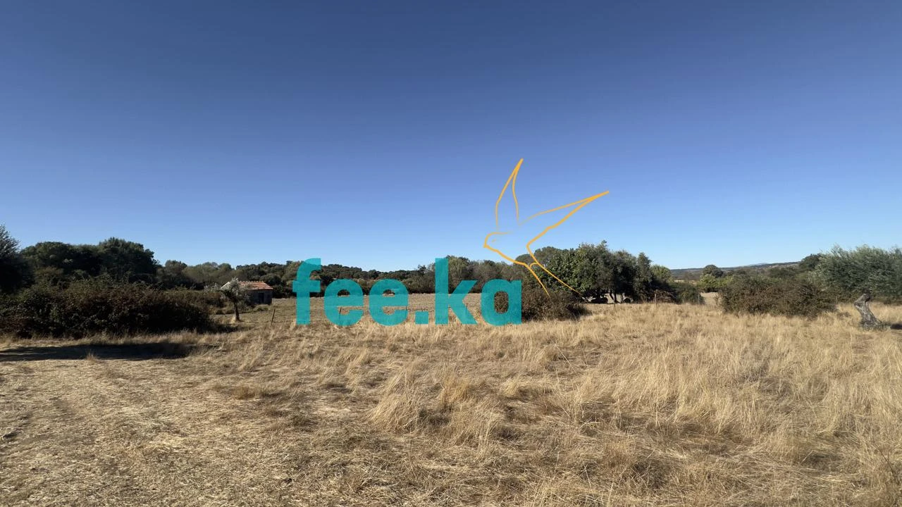 Terreno para Venda em Oledo Foto 23