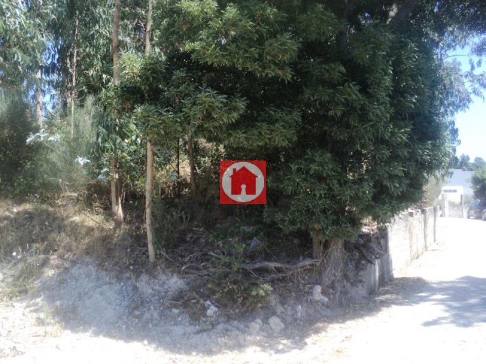 Terreno Agricola ou Rústico para Venda em Junqueira Foto 2