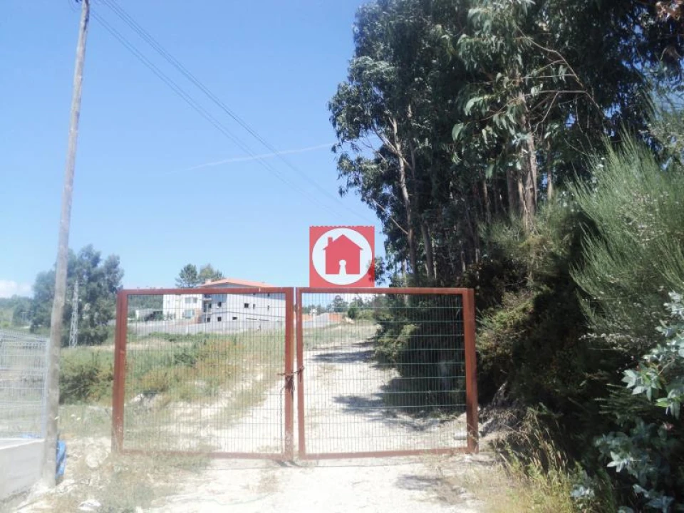 Terreno Agricola ou Rústico para Venda em Junqueira Foto 3