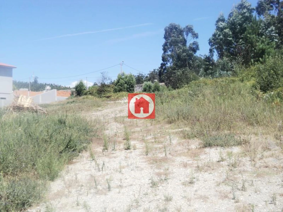 Terreno Agricola ou Rústico para Venda em Junqueira Foto 5