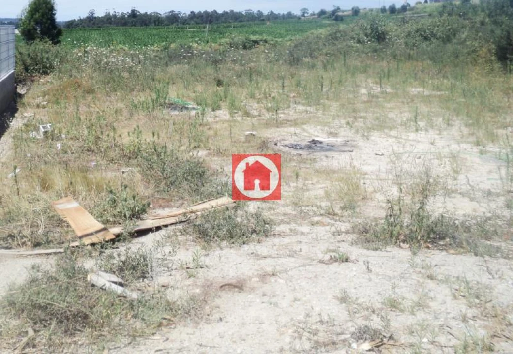 Terreno Agricola ou Rústico para Venda em Junqueira Foto 1