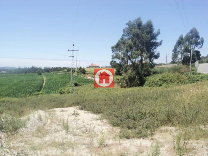 Terreno Agricola ou Rústico para Venda em Junqueira Foto 4
