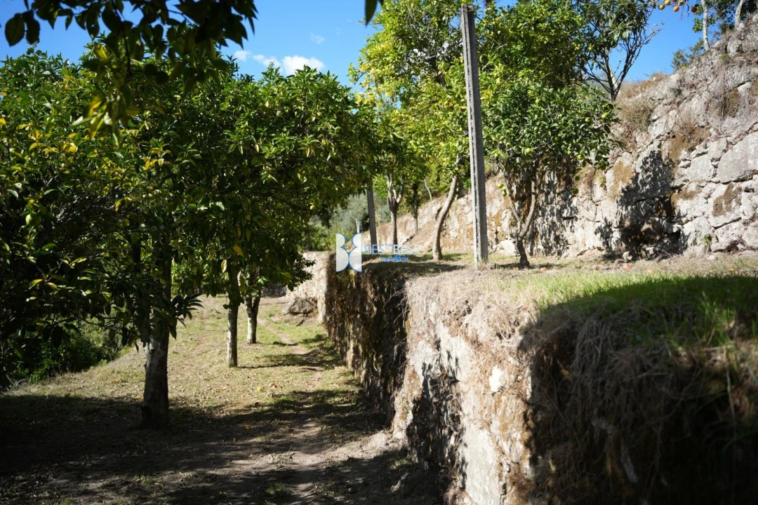 Terreno para Venda em Bouro (Santa Maria) Foto 9
