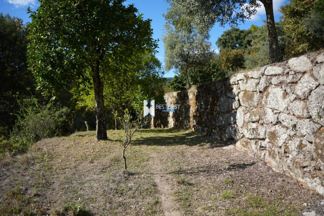 Terreno para Venda em Bouro (Santa Maria) Foto 8