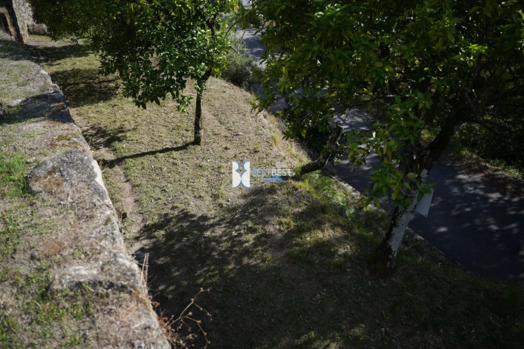 Terreno para Venda em Bouro (Santa Maria) Foto 11