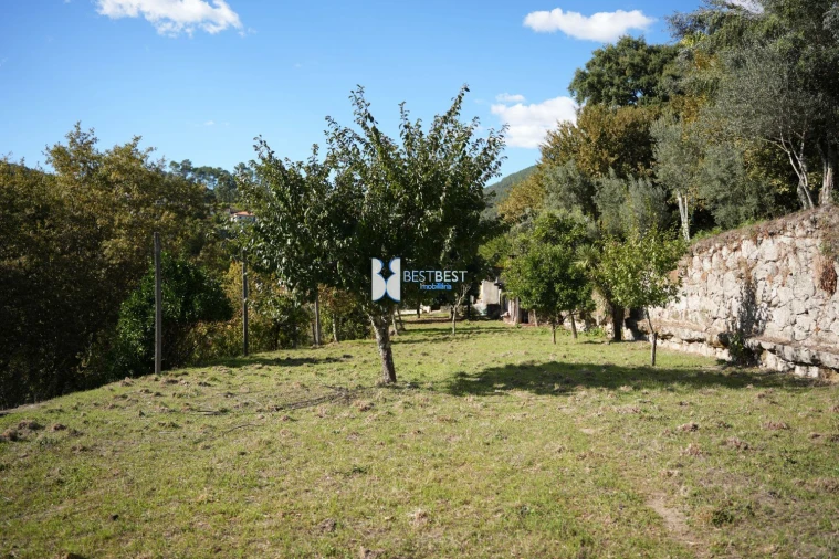 Terreno para Venda em Bouro (Santa Maria) Foto 1