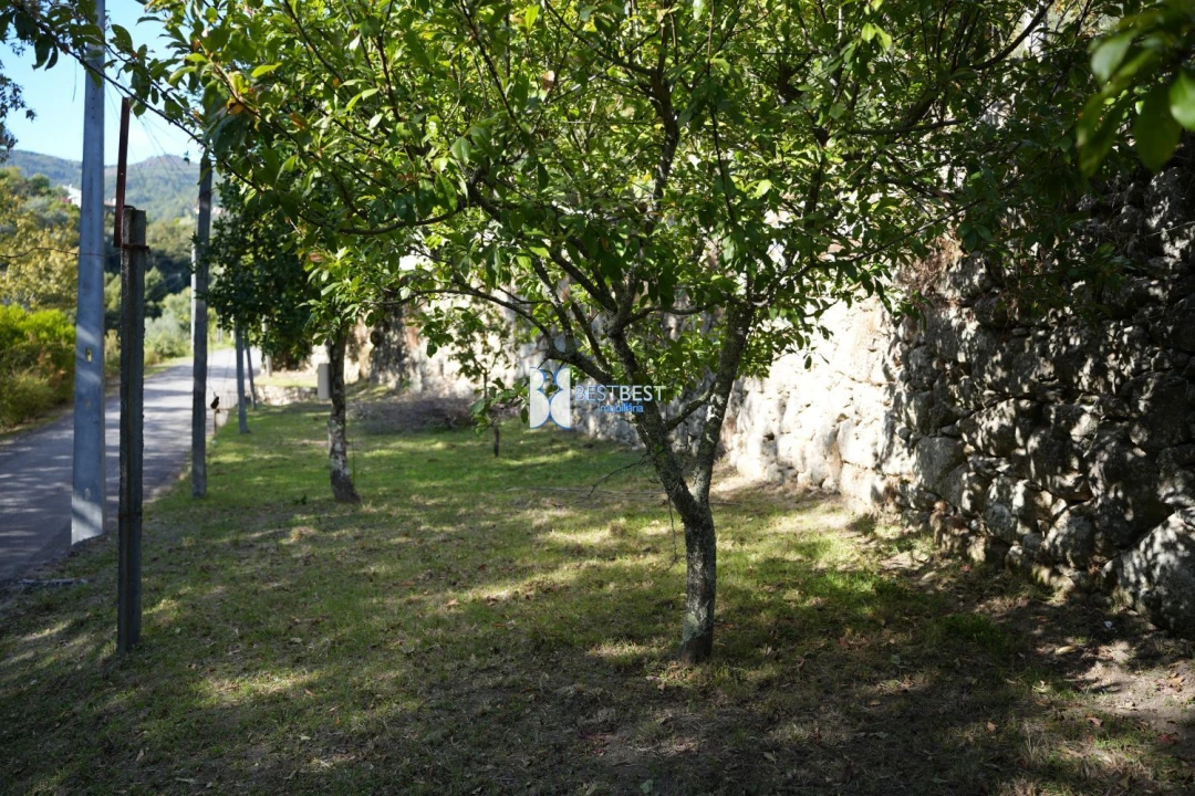 Terreno para Venda em Bouro (Santa Maria) Foto 5