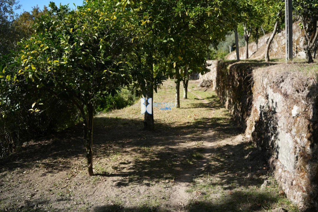 Terreno para Venda em Bouro (Santa Maria) Foto 10