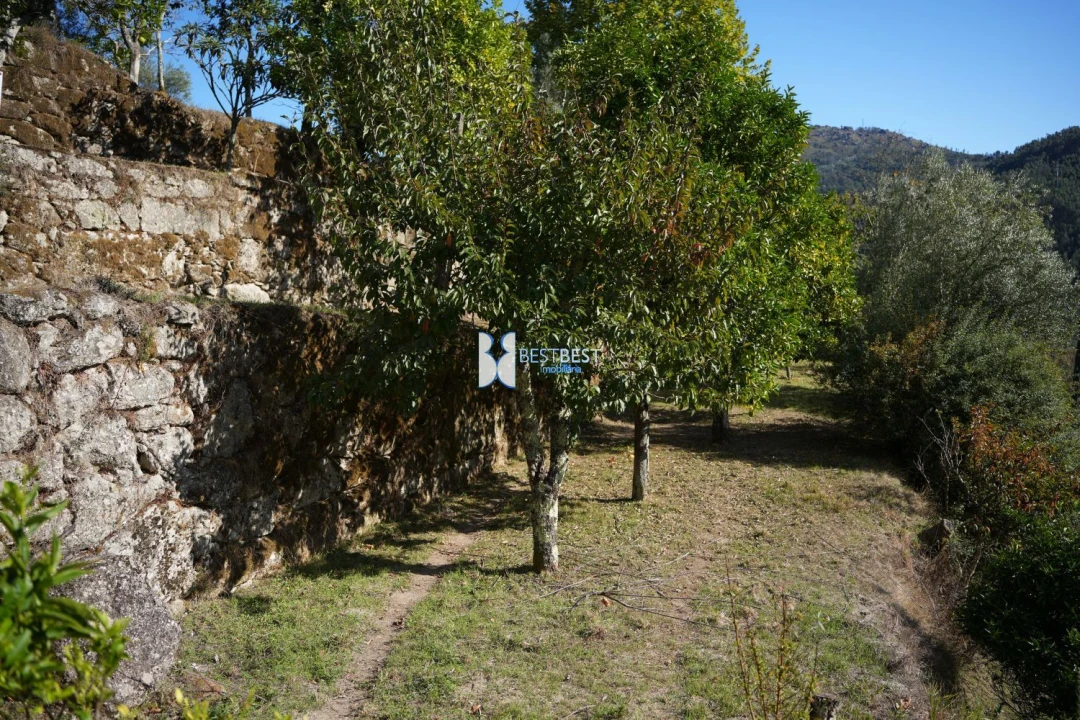 Terreno para Venda em Bouro (Santa Maria) Foto 6