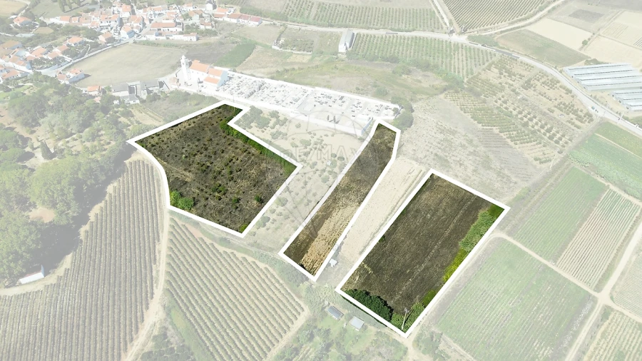 Terreno para Venda em Azueira e Sobral da Abelheira