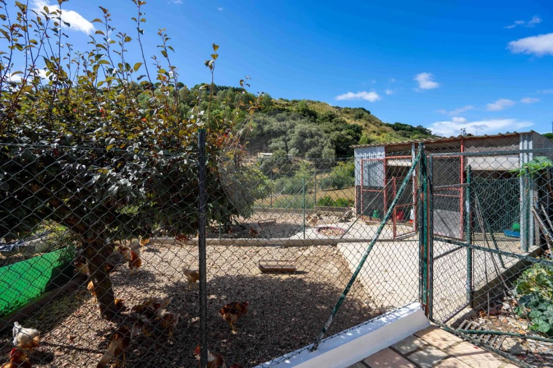 Moradia T5 para Venda em Santiago dos Velhos Foto 50