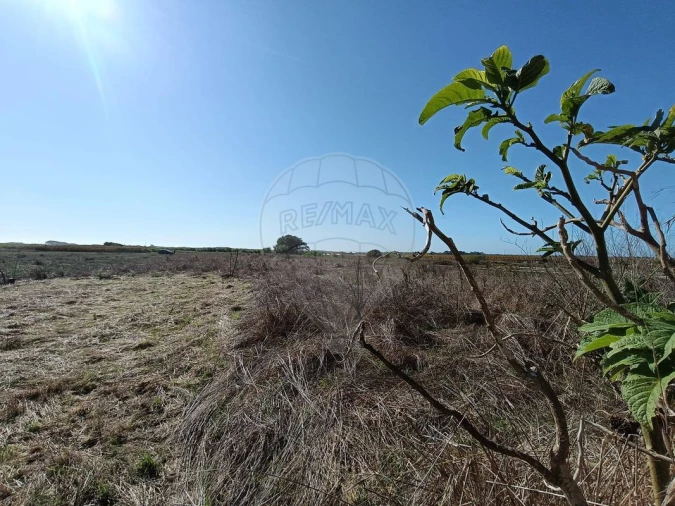 Terreno para Venda em Gafanha do Carmo Foto 2