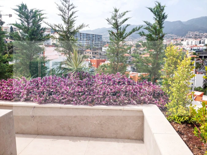 Apartamento T3 para Venda em São Martinho Foto 18