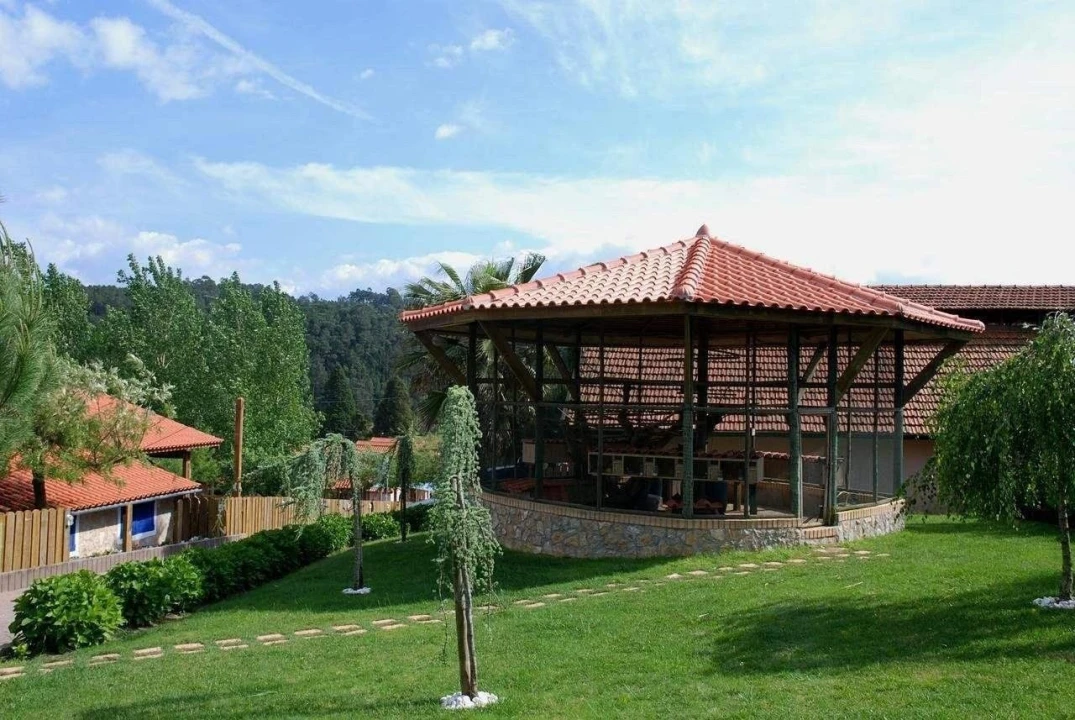 Moradia T3 para Venda em Gondemaria e Olival Foto 27