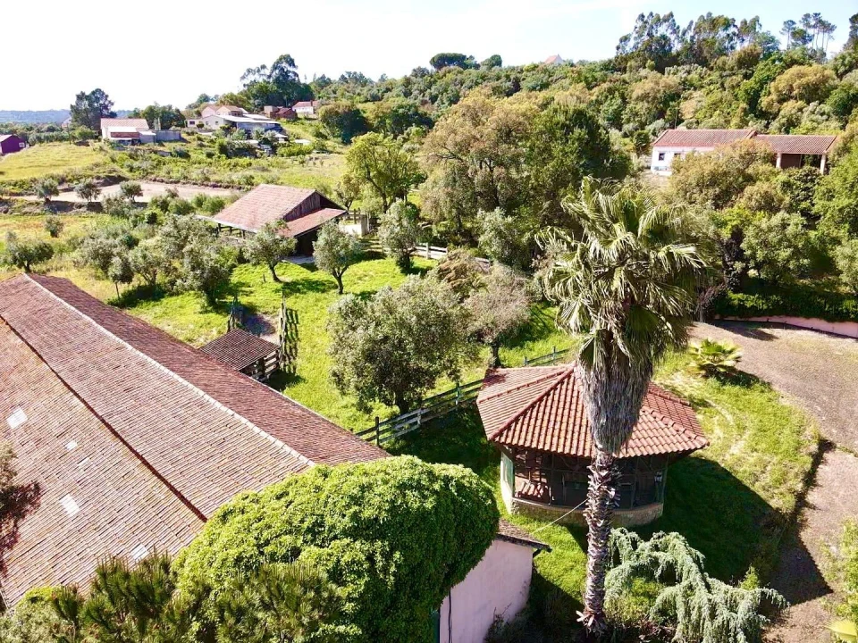 Moradia T3 para Venda em Gondemaria e Olival Foto 2