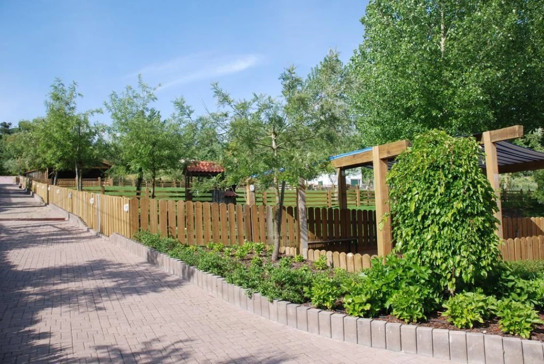 Moradia T3 para Venda em Gondemaria e Olival Foto 25