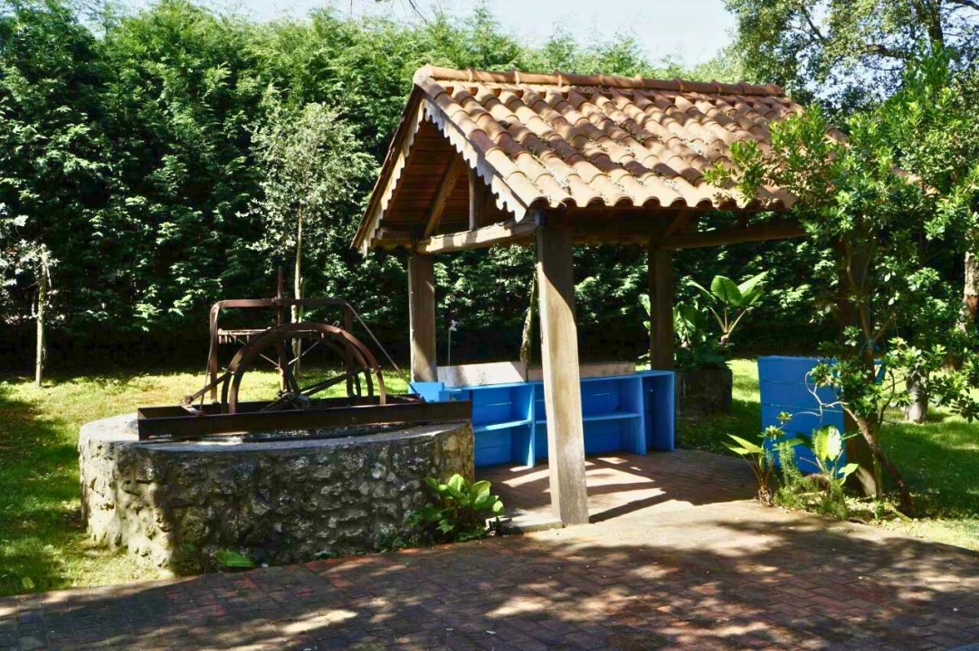 Moradia T3 para Venda em Gondemaria e Olival Foto 28