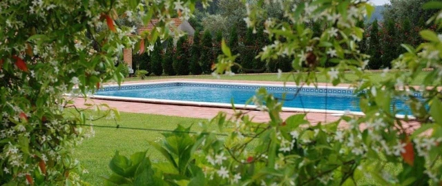 Moradia T3 para Venda em Gondemaria e Olival