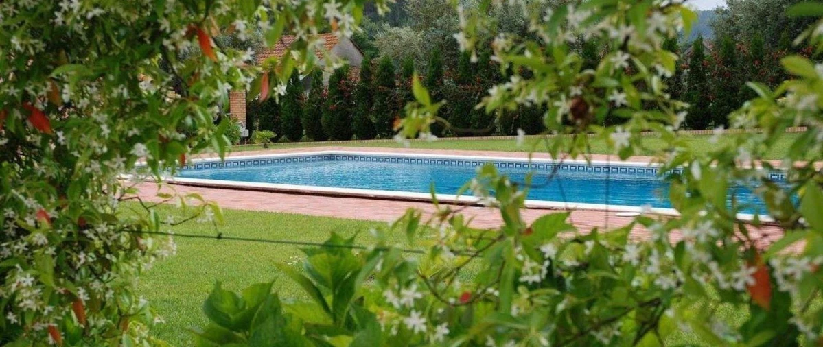 Moradia T3 para Venda em Gondemaria e Olival Foto 7