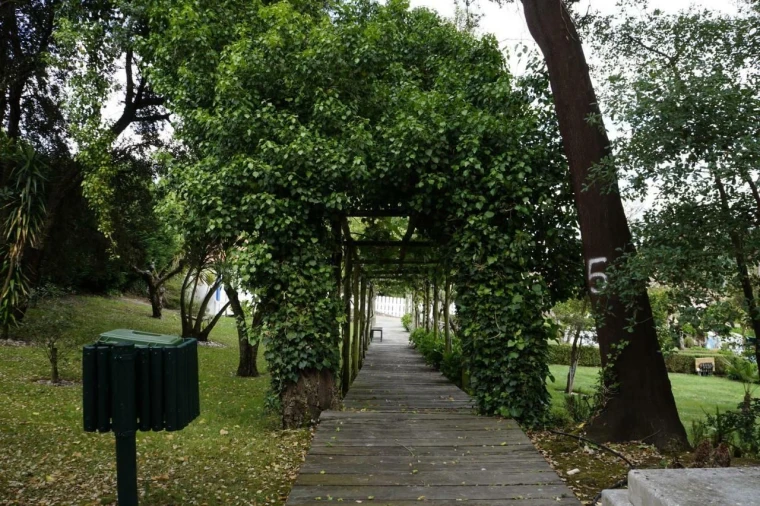 Moradia T3 para Venda em Gondemaria e Olival Foto 19