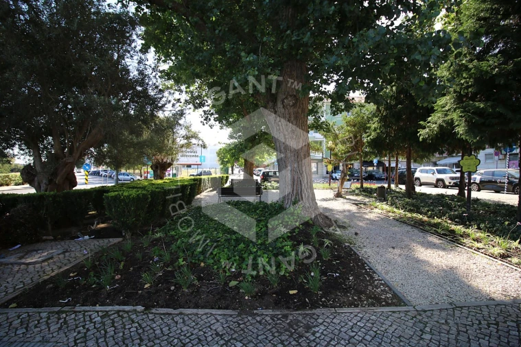 Apartamento T2 para Arrendamento em Oeiras e São Julião da Barra, Paço de Arcos e Caxias Foto 30