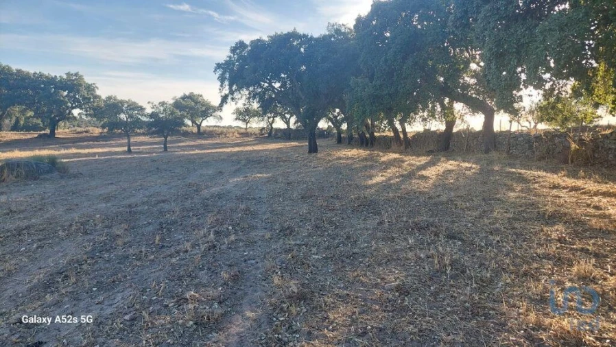 Terreno para Venda em Urra Foto 12