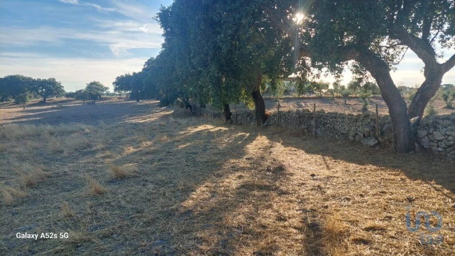 Terreno para Venda em Urra Foto 14