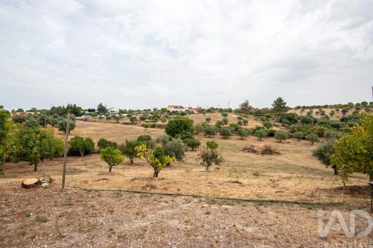Moradia T6 para Venda em Azoia de Cima e Tremês Foto 28