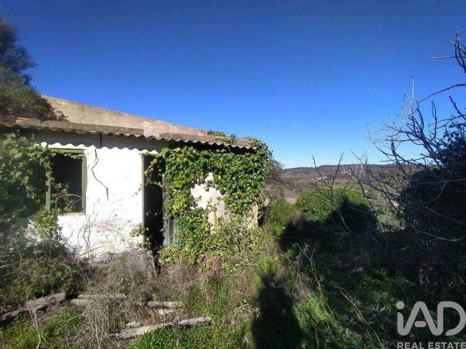 Terreno para Venda em Barão de São Miguel Foto 25