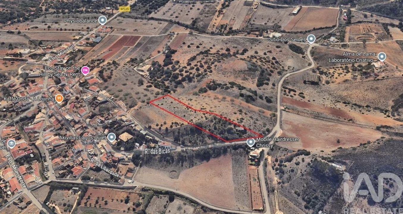 Terreno para Venda em Barão de São Miguel Foto 29