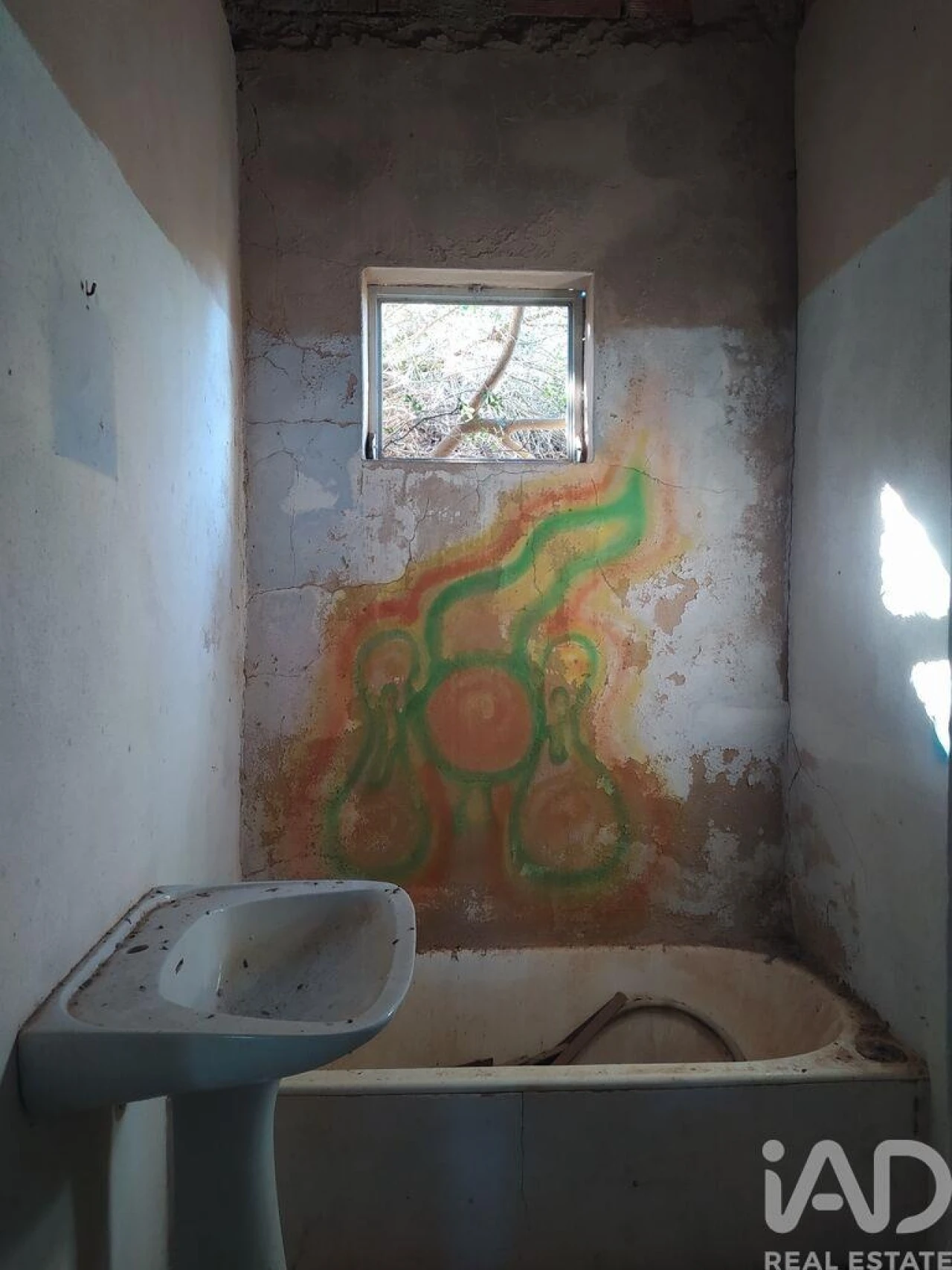 Terreno para Venda em Barão de São Miguel Foto 24