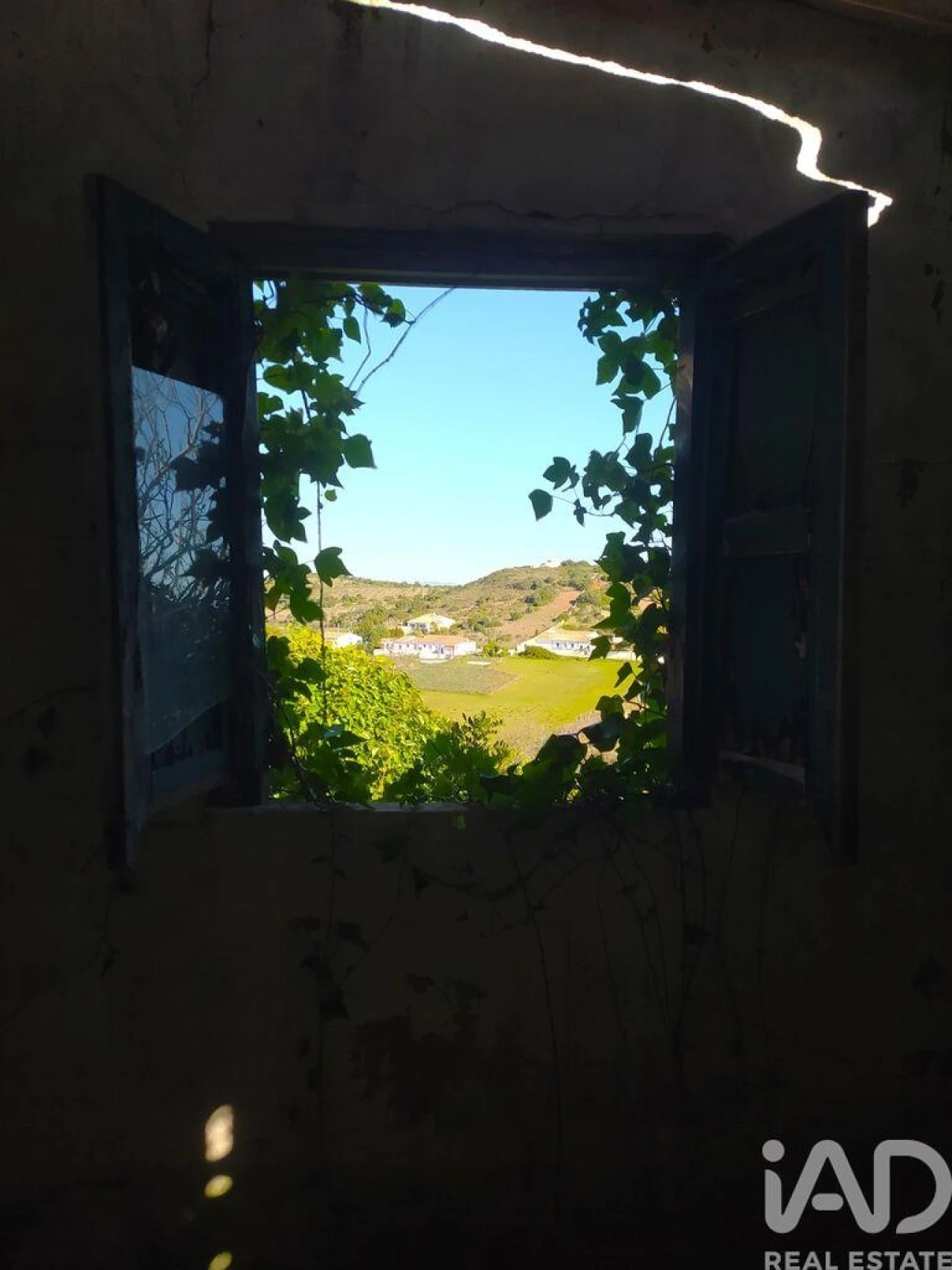 Terreno para Venda em Barão de São Miguel Foto 20