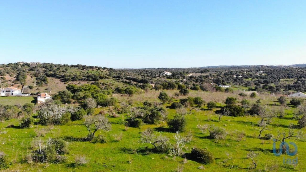 Terreno para Venda em Barão de São Miguel Foto 1