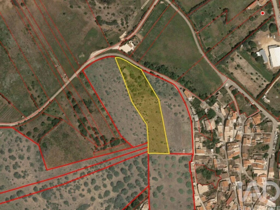 Terreno para Venda em Barão de São Miguel Foto 30