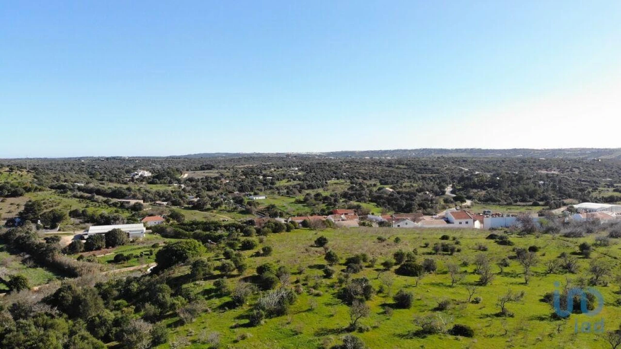 Terreno para Venda em Barão de São Miguel Foto 3