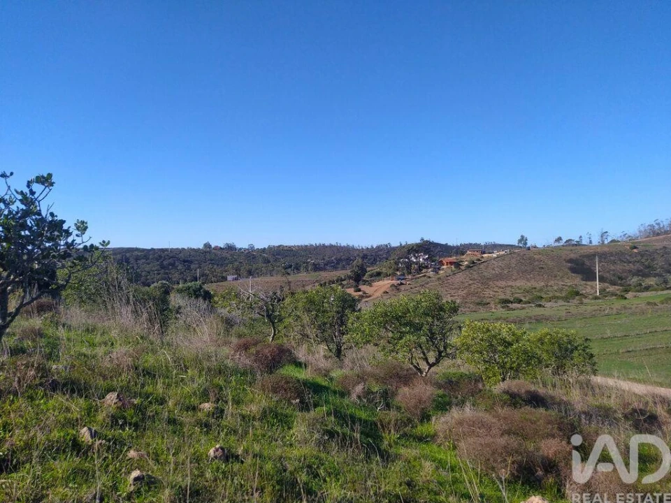Terreno para Venda em Barão de São Miguel Foto 27