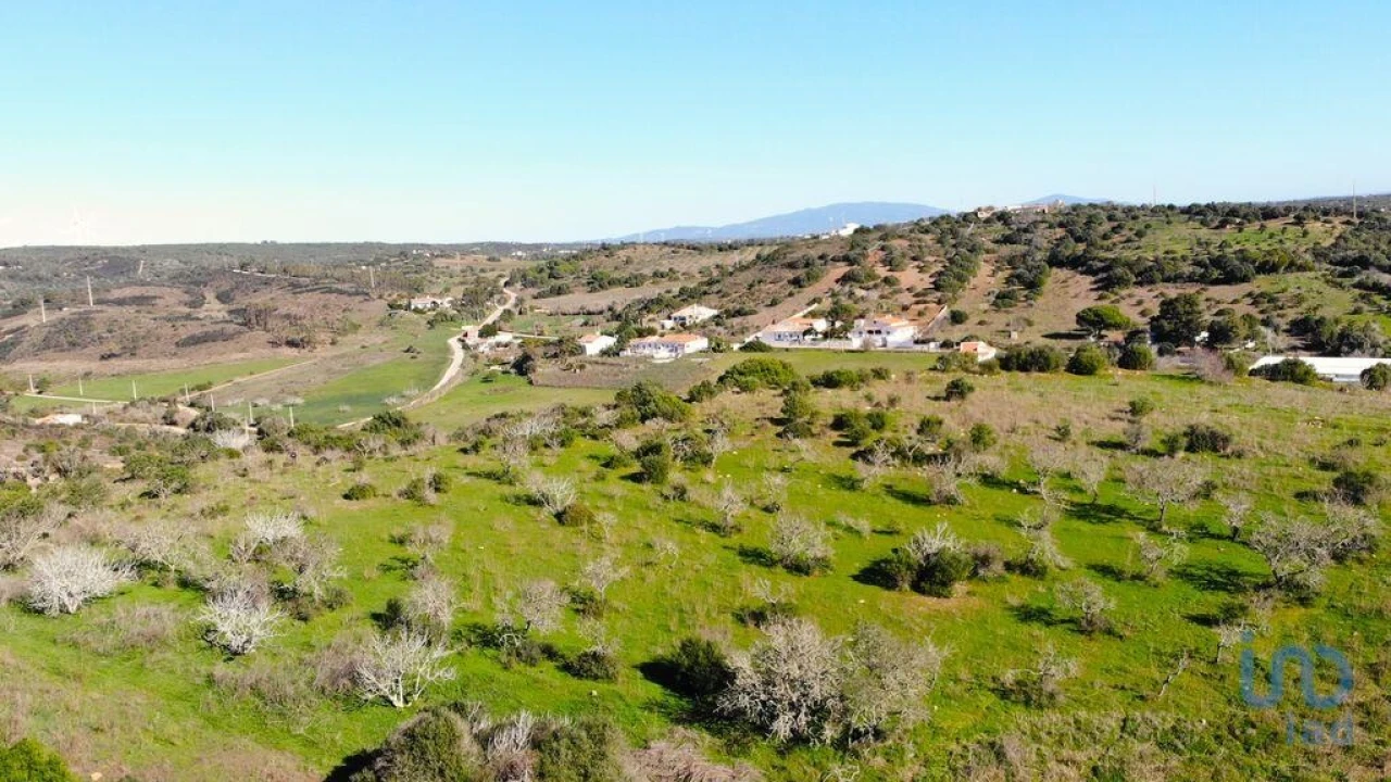 Terreno para Venda em Barão de São Miguel Foto 7