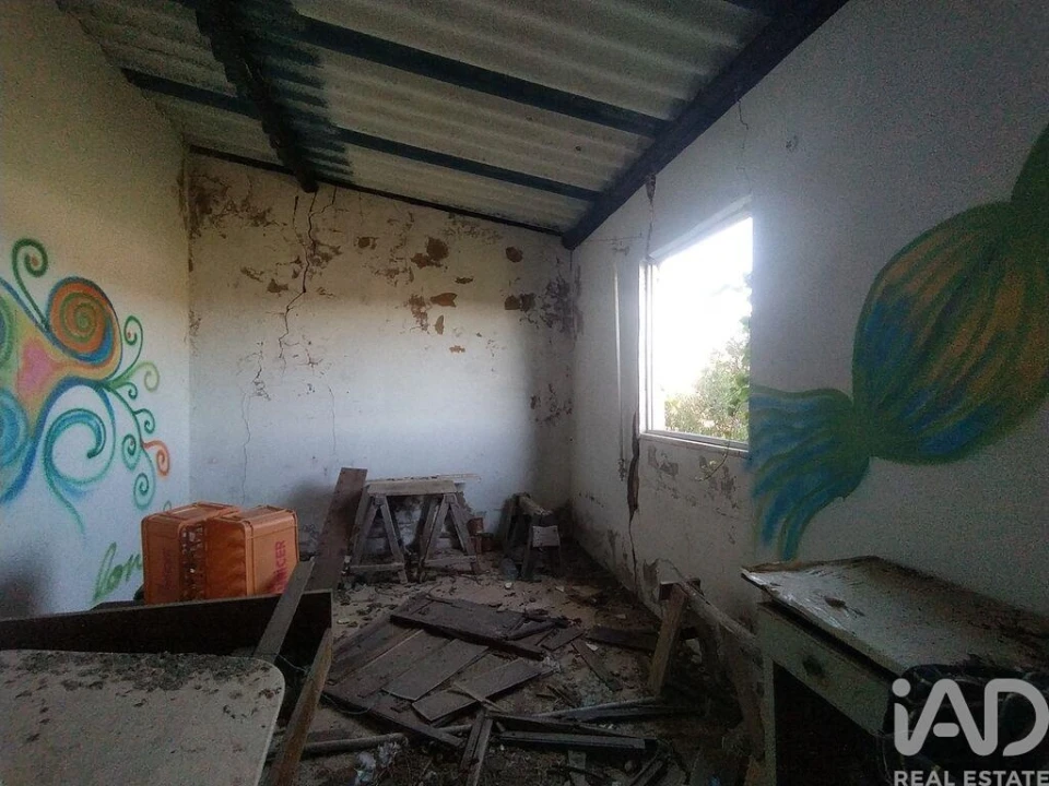 Terreno para Venda em Barão de São Miguel Foto 23