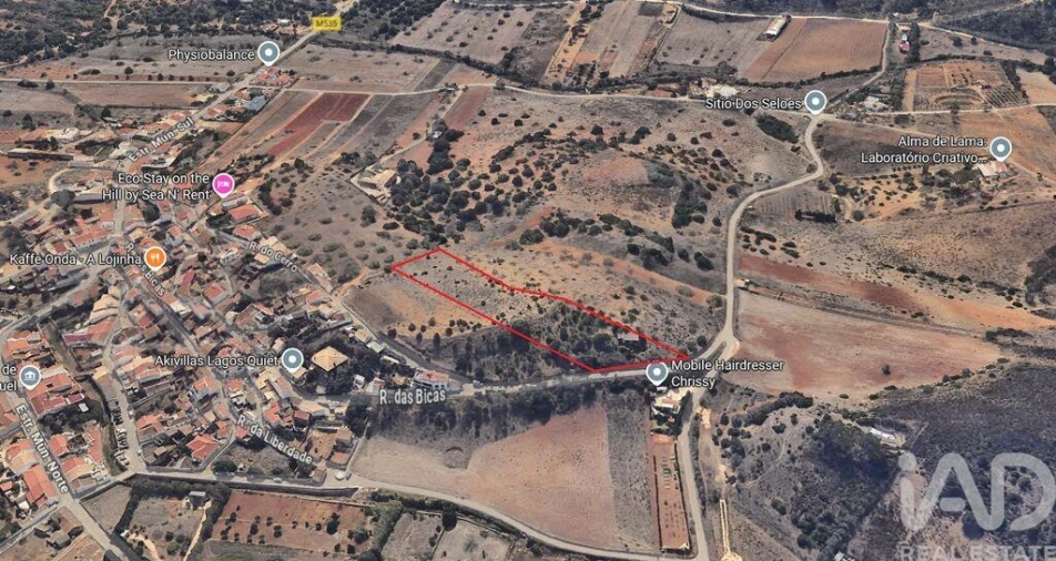 Terreno para Venda em Barão de São Miguel Foto 29